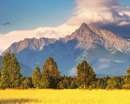 Villa Vysoke Tatry - Isc House For 13 People With 6 Extra Bed *