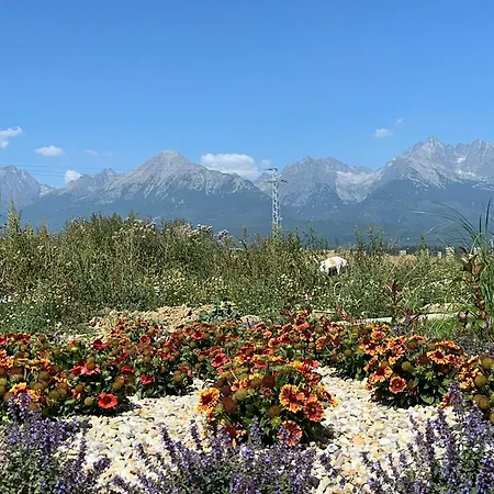 Vysoke Tatry - Isc House For 13 People With 6 Extra Bed