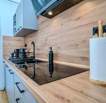 Vysoke Tatry House For 19 People Isc Mlynica Willa *